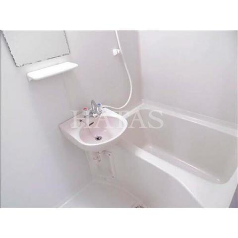 バス・シャワールーム　反転のお部屋になります