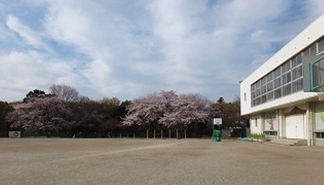 小学校　流山市立東小学校（小学校）まで535m