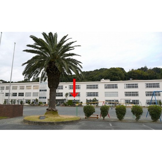 小学校　浜松市立三ヶ日西小学校（小学校）まで1931m
