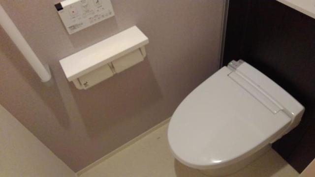 トイレ　トイレも気になるポイント