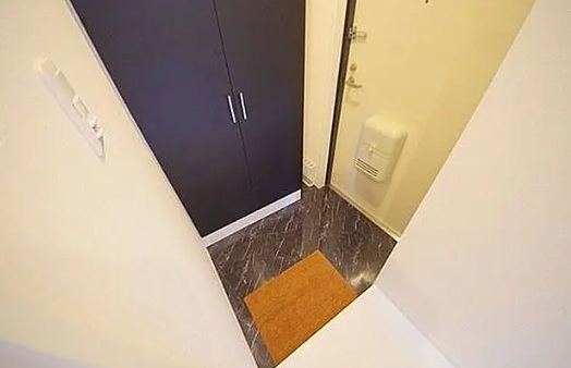 玄関　※同施工会社のイメージ写真※