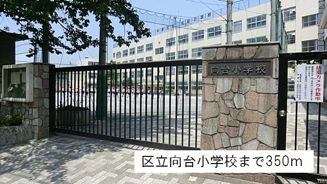 小学校　区立向台小学校（小学校）まで350m