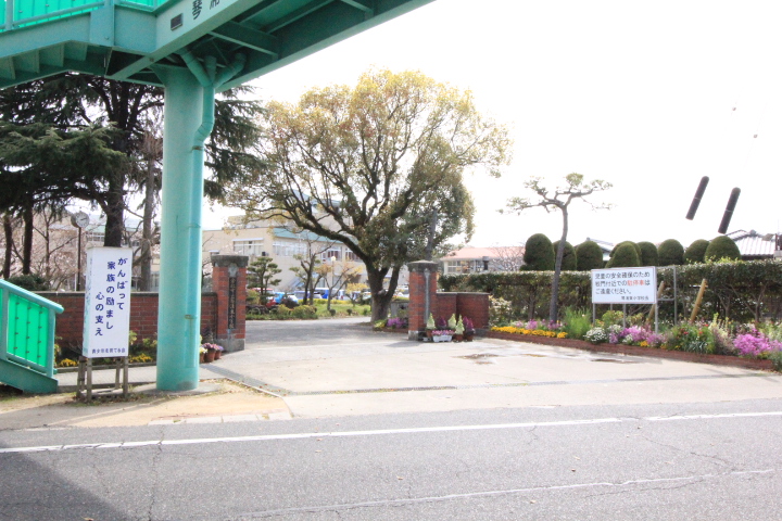 小学校　倉敷市立琴浦東小学校（小学校）まで708m