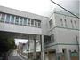 小学校　品川区立第三日野小学校（小学校）まで956m