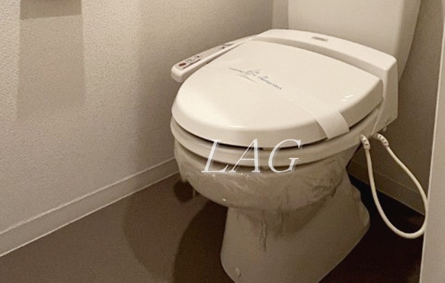 トイレ　トイレです。