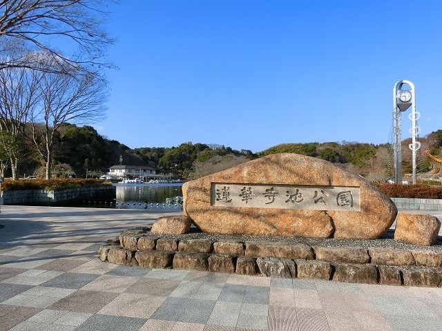 公園　蓮華寺池公園（公園）まで700m