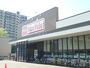 スーパー　マックスバリュ北1条東店（スーパー）まで293m