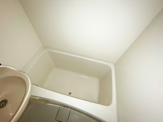 バス・シャワールーム　※別部屋の写真です