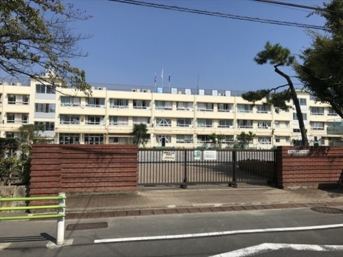 小学校　葛飾区立柴又小学校（小学校）まで972m