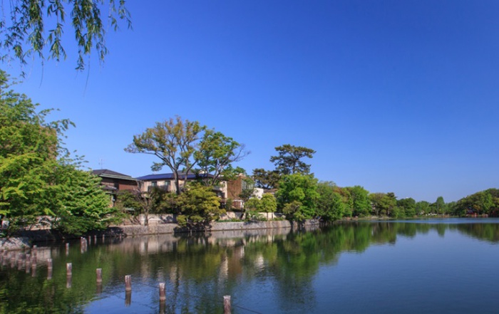 公園　洗足池公園（公園）まで478m