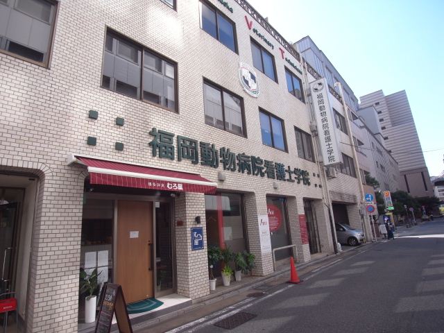 病院　福岡動物病院看護士学院（病院）まで430m