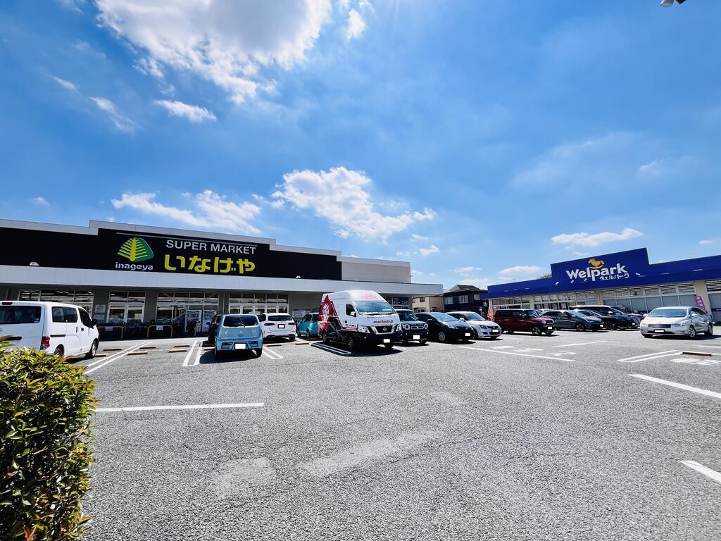 ドラックストア　ウェルパーク練馬上石神井南店（ドラッグストア）まで347m