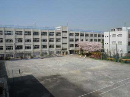 小学校　大田区立高畑小学校（小学校）まで239m