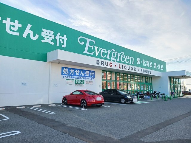 ドラックストア　エバグリーン 紀三井寺店様（ドラッグストア）まで578m