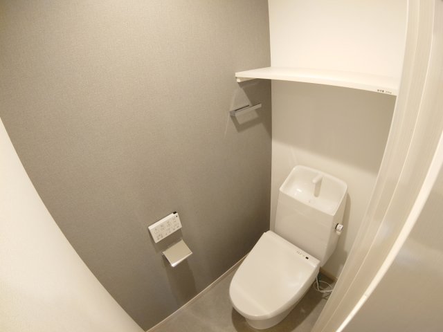 ウェルスクエア池田井口堂のトイレ写真