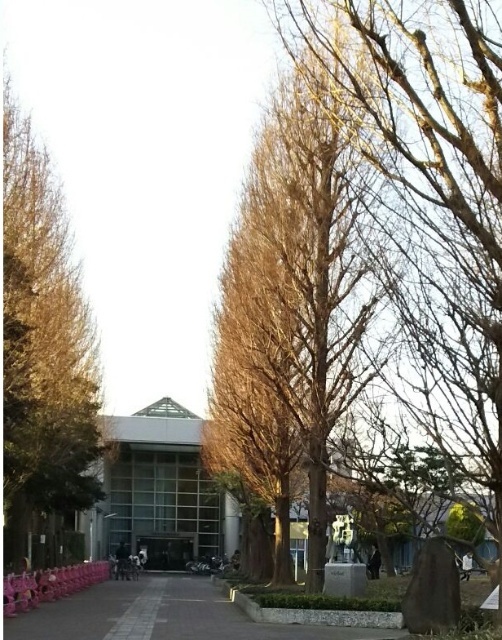 図書館　川崎市立高津図書館（図書館）まで2400m