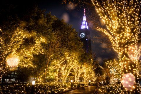 その他　新宿サザンテラスのイルミネーション 01（その他）まで982m