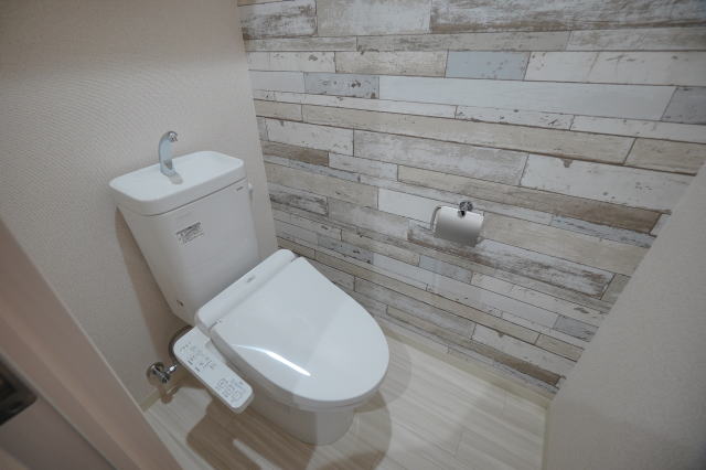 フジパレス田中町III番館のトイレ写真