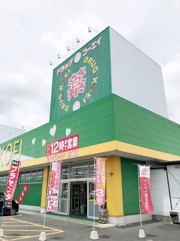 ドラックストア　くすりのコーエイ川崎店（ドラッグストア）まで1000m