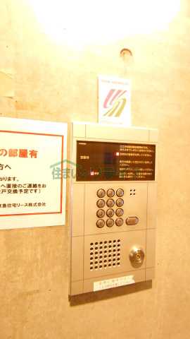 ホワイトガーデニアのその他写真