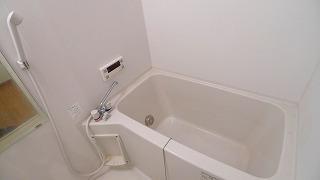 バス・シャワールーム　※写真他部屋参照