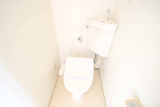 トイレ　※別号室の写真です