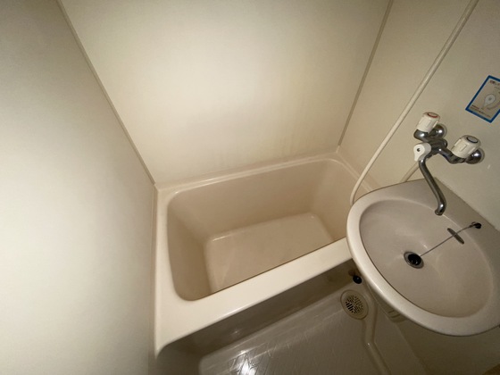 バス・シャワールーム　※別部屋の写真です