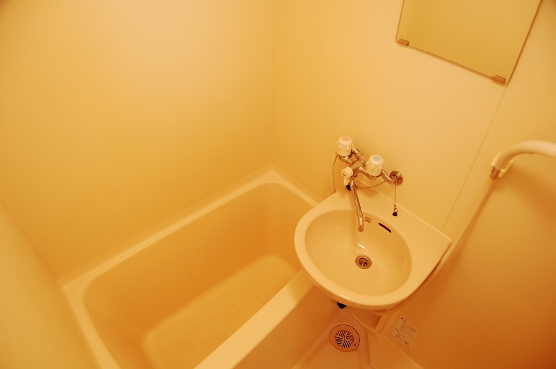 洗面設備　セレッソコート西心斎橋II　洗面所