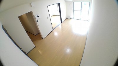 居室・リビング　明るい日差しが差し込む広い洋室