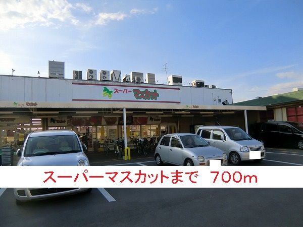 スーパー　スーパーマスカット（スーパー）まで700m