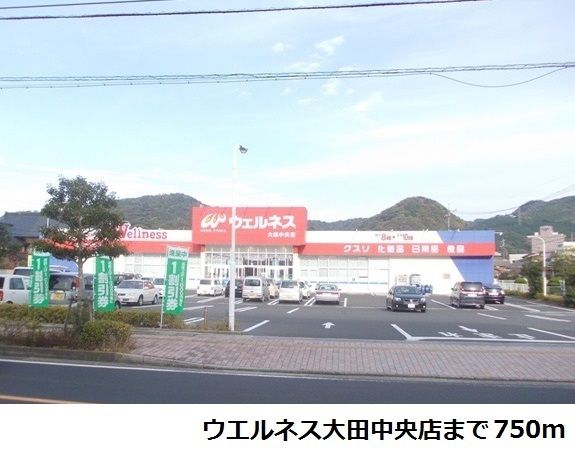 ドラックストア　ウエルネス大田中央店（ドラッグストア）まで750m