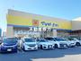 ドラックストア　マツモトキヨシ川口朝日店（ドラッグストア）まで527m