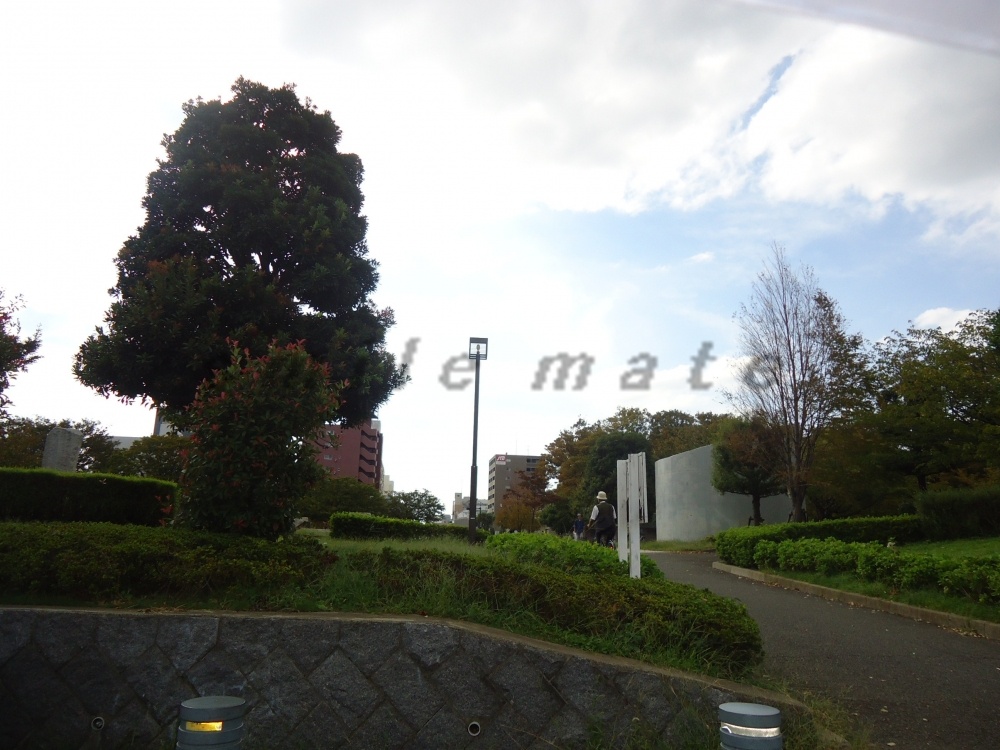 公園　湘南台公園（公園）まで704m
