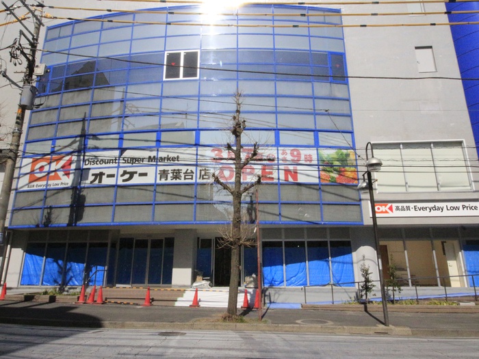 スーパー　オーケー青葉台店（スーパー）まで550m