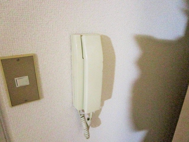 庭　※