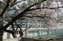 小学校　八王子市立横山第二小学校（小学校）まで406m