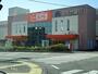 スーパー　ザ・ビック　金谷店（スーパー）まで1000m