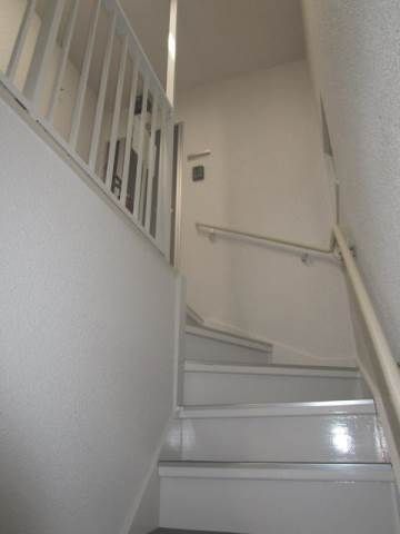 ステラ平井のその他写真