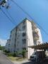 新神野住宅7号棟 2階 築50年7ヶ月の賃貸物件