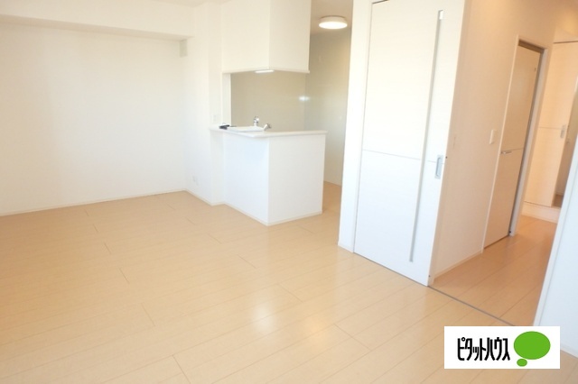 居室・リビング　ＬＤＫ１１．９帖