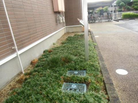 庭　庭