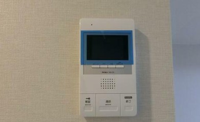 セキュリティ　エスペランサ西大井（別部屋参考画像）