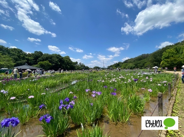 公園　北山公園（公園）まで530m