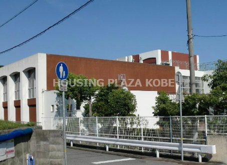 小学校　神戸市立若草小学校（小学校）まで612m