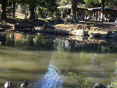 【カームハウス諸岡の公園】