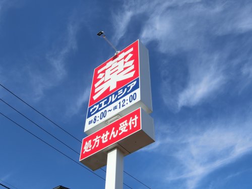 ドラックストア　ウェルシア薬局（ドラッグストア）まで246m