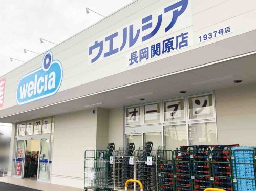 ドラックストア　ウエルシア長岡関原店（ドラッグストア）まで1124m