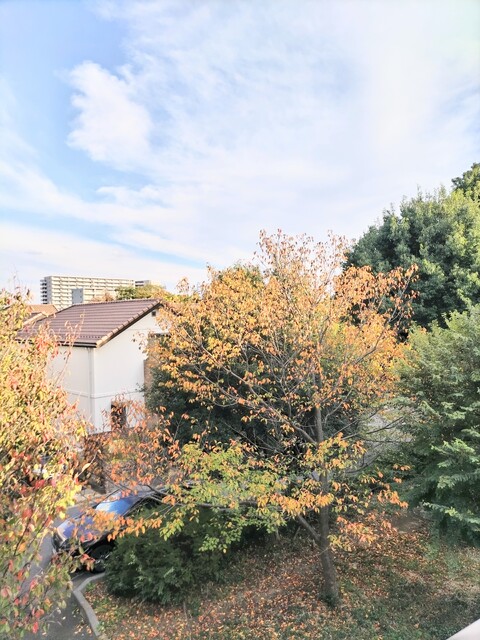 眺望　バルコニーから見た景色