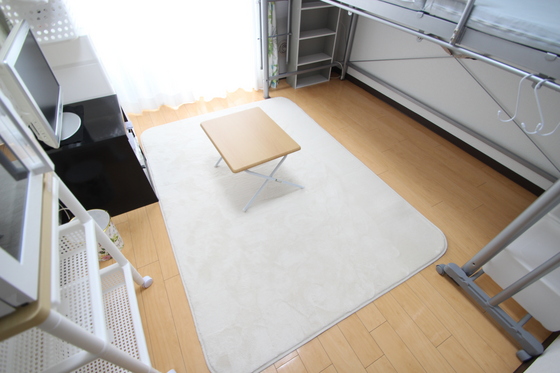 居室・リビング　※別部屋の写真です