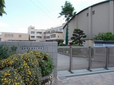 小学校　茨木市立春日小学校（小学校）まで538m